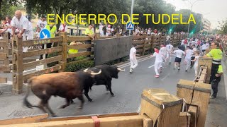 ENCIERRO DE TUDELA  DOMINGO 28 Julio 2024  CURVA HACIA CALLEJÓN DOS HERIDOS 🤕 ‼️ [upl. by Arne]