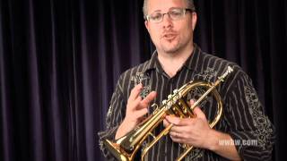 Yamaha YFH631G Professional Flugelhorn [upl. by Memory]