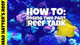 HOW TO Dosing Two Part in Your Reef Tank [upl. by Nythsa]