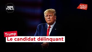 Trump  le candidat délinquant [upl. by Lem]