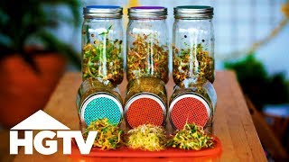 Way to Grow How to Grow Sprouts in Jars  HGTV [upl. by Laspisa]