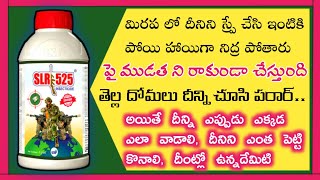 SLR 525 Insecticide Uses Telugu  SLR 525 insecticide in telugu  SLR 525 Complete details in telugu [upl. by Shantha802]