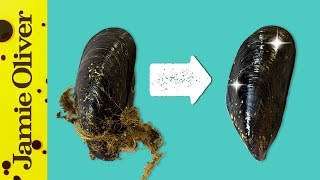 How To Prepare Mussels  1 Minute Tips  Bart’s Fish Tales [upl. by Oilcareh529]