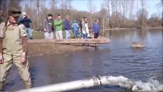 Trout Stocking Walter Wirth Lake 2016  Fishing [upl. by Hatti117]