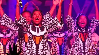 Ndlovu Youth Choir in Concert  Africa Festival Würzburg 2019 [upl. by Nasus233]