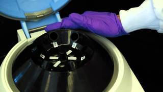 How to Use a Centrifuge [upl. by Young]