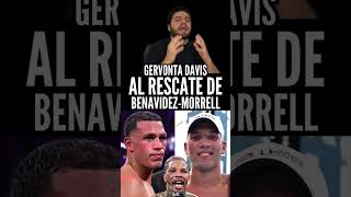 GERVONTA AL RESCATE DE BENAVIDEZMORRELL EN 175 [upl. by Sevein]