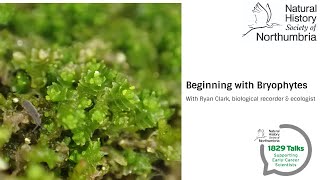 Beginning with Bryophytes [upl. by Aretha999]