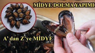 MİDYE HAKKINDA HERŞEY MİDYE DOLMA YAPIMI [upl. by Mulford41]