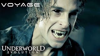 Underworld Evolution  Michaels Thirst For Blood Takes Control  Voyage [upl. by Mayrim]