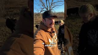 Grazing Strategies Allowing Freedom for Livestock homestead farmliving [upl. by Odell]