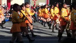 Japanese band rose parade 2018 [upl. by Lewej587]