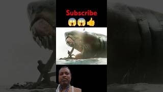 Shark attack themeg hollywoodmovies shortsvideo ytshorts [upl. by Siuqaj806]