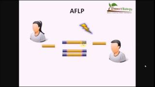 أساسيات الهندسة الوراثية تكنيك الـ AFLP [upl. by Marston366]