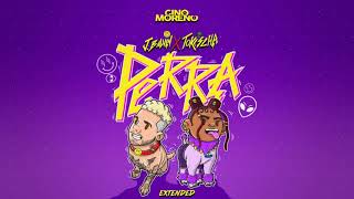 Perra  J Balvin Tokischa   Gino Moreno Extended [upl. by Chance]