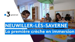 A NeuwillerlèsSaverne la première crèche en immersion en alsacien [upl. by Caton]