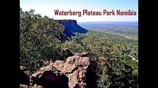 WATERBERG PLATEAU PARK NAMIBIA SOUTHERN ARICA  НАЦИОНАЛЬНЫЙ ПАРК ВАТЕРБЕРГ ПЛАТО НАМИБИЯ АФРИКА [upl. by Briana]