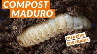 🍃 Compost básico Usos del COMPOST MADURO  Curso de compostaje [upl. by Rebmik]