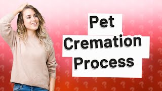 What happens after pet cremation [upl. by Aliuqehs]