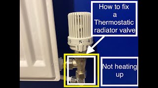 How to fix a radiator not heating up or getting hot and replace a thermostatic radiator valve head [upl. by Tahp313]