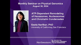 ATPDependent Remodeling of Hexasomes Nucleosomes and Chromatin Condensates  Geeta Narlikar [upl. by Gervase]