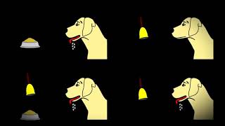 Ivan Pavlov’s Dog Experiment – What is Conditioned Reflex [upl. by Anirbes]