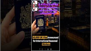 یو۔کے نے ویزوں کی بارش کر دی uk ukvisa ukvisaupdates ukvisaaccepted [upl. by Filippa968]