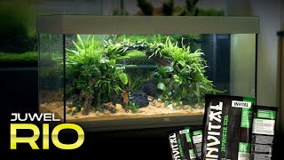 Setting up a Juwel Rio aquarium with INVITAL Japanese soil [upl. by Darrill973]