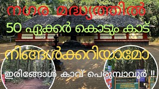 നിഗൂഢതകളും വിശ്വാസങ്ങളും നിറഞ്ഞ ഇരിങ്ങോൾ കാവ് TravelWithAnil8154 [upl. by Percival]