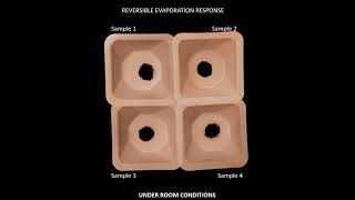 Blackworms Lumbriculus variegatus  Water evaporation response [upl. by Aciretahs308]