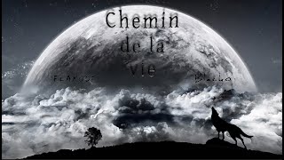 Chemin de la vie Feat Blacko [upl. by Surtemed]