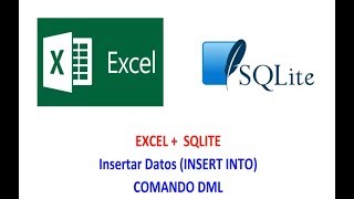 Excel  SQLite  Insertar Insert Into Comando DML Cap Nº 6 [upl. by Yraunaj]