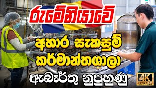 Unlocking Hidden Job Opportunities for Unskilled Workersරුමේනියාවේ නුපුහුණු අයට රැකියා ඇබෑර්තූ [upl. by Sivie629]