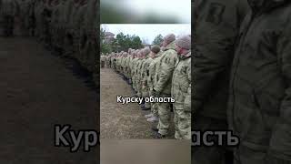 ПРИБЫЛИ В КУРСК КУРСКАЯ ОБЛАСТЬ СУДЖА [upl. by Lednyc]