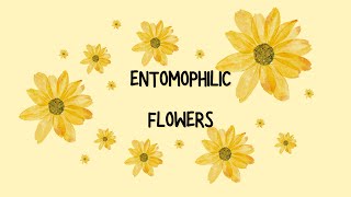 Entomophilic flowers [upl. by Bob]