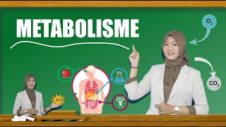 METABOLISME KatabolismeAnabolisme  MATERI BIOLOGI KELAS XII  VIDEO PEMBELAJARAN [upl. by Attena]