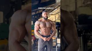 Cobra Back Sculpt Your VTaper with This Workout [upl. by Odlamur944]