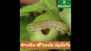 LARVEX Insecticide Complete Caterpillar Control for All Crops  Khethari [upl. by Clarke465]