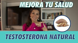 Testosterona NATURAL o testosterona SINTETICA  ¿Cúal es mejor [upl. by Eldoree47]