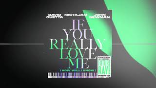 David Guetta x MistaJam x John Newman  If You Really Love Me Future Rave Remix [upl. by Esorrebma]