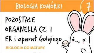 Cytologia 7  Pozostałe organella cz1 ER i aparat Golgiego  biologia rozszerzona matura liceum [upl. by Ordnas]