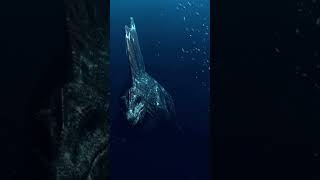 Dive into Prehistoric Oceans Ichthyosaurs Uncovered [upl. by Anal]