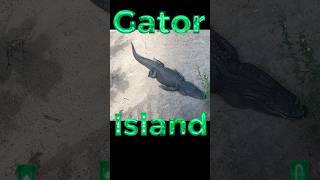 Would You Survive On Gator Island shorts scary challenge [upl. by Aniuqaoj452]