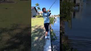 Jack crevalle bite on double up [upl. by Halle]