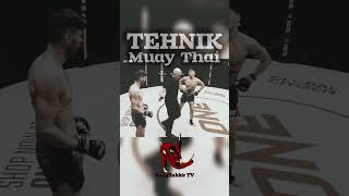 Best Muay Thai Teknique kangzakkirtv gasmipurba ufc mma [upl. by Anjela]