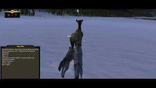 WolfQuest 27 Revisited Multiplayer Pup Raising [upl. by Carrelli]