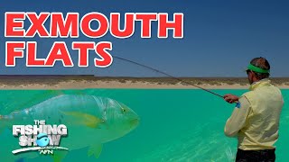 NINGALOO REEF FLATS  Fishing Fly and Soft Plastics [upl. by Aday319]