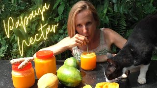 Why I grow so many PAPAYAS and why you should too [upl. by Annua153]