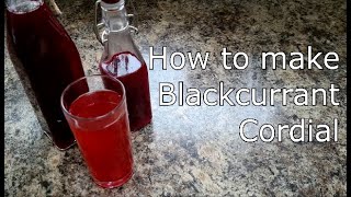 Blackcurrant Cordial [upl. by Terris]