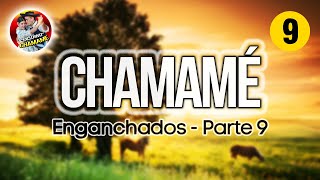 ✅ENGANCHADOS de CHAMAMÉ 2024 🎼 quotParte 9quot 🎼EXCLUSIVO CHAMAME 2024✅ [upl. by Yenettirb687]